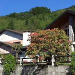 Hotel Garni Viggiona 3*