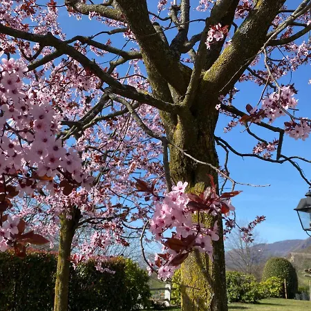 Garni Viggiona Отель 3*