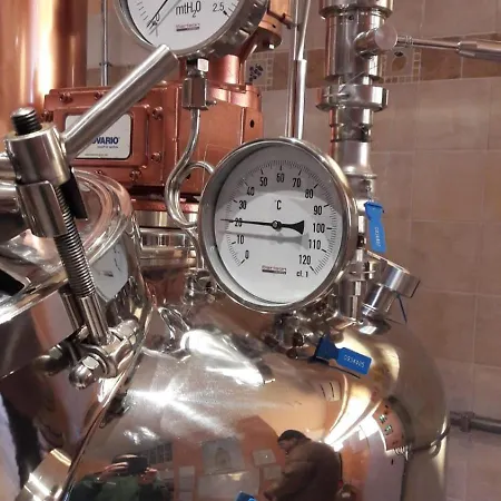 Garni Viggiona 3* Trarego