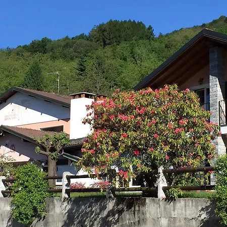 Отель Garni Viggiona 3*