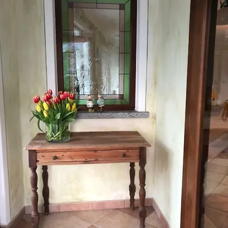 Garni Viggiona Отель Trarego